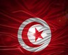 حالت فوق‎العاده در تونس تا 3 ماه دیگر تمدید شد