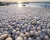 تخم‌مرغ‌های یخی ساحلی را در فنلاند پوشاندند