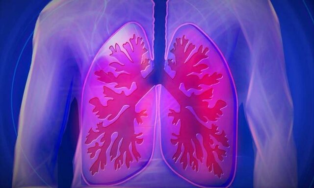تصویر سلول‌های ایمنی ریه‌ هنگام مقابله با عفونت تنفسی ثبت شد
