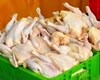 تصمیمات جدید برای کنترل قیمت مرغ