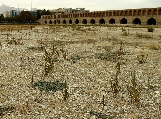 تناوب آب زاینده‌رود فرونشست زمین در اصفهان را تشدید کرد