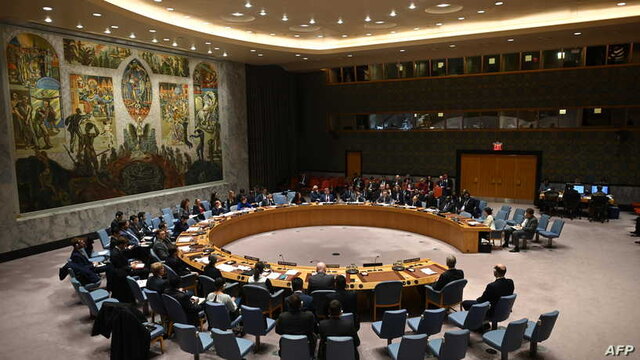 درخواست مجدد کشورهای عربی برای برخورداری از کرسی دائم در شورای امنیت