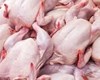 ۶۲۸ تن مرغ گرم برای ایجاد ثبات بازار بین مراکز عرضه در قزوین توزیع شد