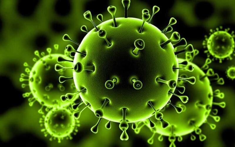 کدام ویروس ها بعد از کرونا انسان را تهدید می کند؟