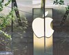 انتقاد نمایندگان آمریکا به شرکت نکردن اپل در جلسه استماع کنگره
