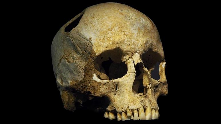 قدیمی‌ترین ژنوم انسان مدرن با استفاده از جمجمه زن ۴۵ هزار ساله بازسازی شد