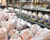 رفع بحران بازار مرغ با توزیع گسترده