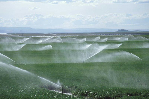 پیشتازی کشاورزان مناطق کم بارش در مدیریت مصرف آب