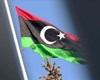 آمریکا: روسیه و دیگر کشورها نیروهایشان را از لیبی خارج کنند