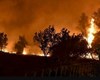 تشدید آتش سوزی های جنگلی در غرب آمریکا
