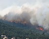 آتش سوزی گسترده در جنگل های جنوب فرانسه