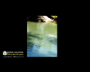لحظه غرق شدن جوان گنبدی در چشمه گل رامیان +فیلم