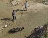 غرق شدگی مرد ۴۵ ساله در رودخانه بشار