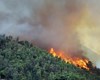 پرونده ویژه آتش‌سوزی جنگل‌های هیرکانی در دادستانی گلستان
