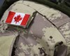 برکناری مقام ارشد نظامی کانادا از فرماندهی به دلیل سوءرفتار