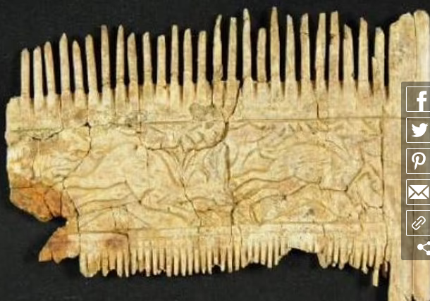 کشف شانه طلایی ریش متعلق به جنگجوی 1500 ساله