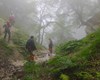 نجات افراد گرفتار در ارتفاعات جنگلی روستای شموشک
