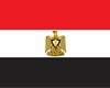 تلاش مصر برای میانجیگری میان انصارالله و عربستان