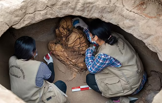 کشف مومیایی طناب پیچ شده در مقبره زیرزمینی +فیلم