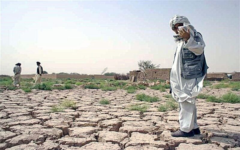 خشکسالی دامن استان را گرفته است