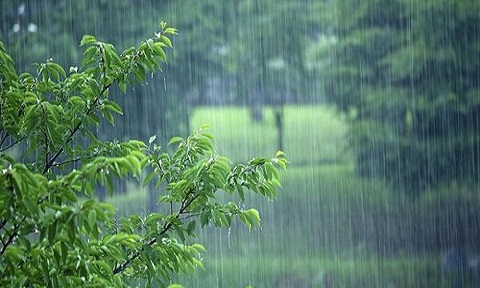 فلسفه "پنجاه بدر"، شکرگزاری و تمنای باران