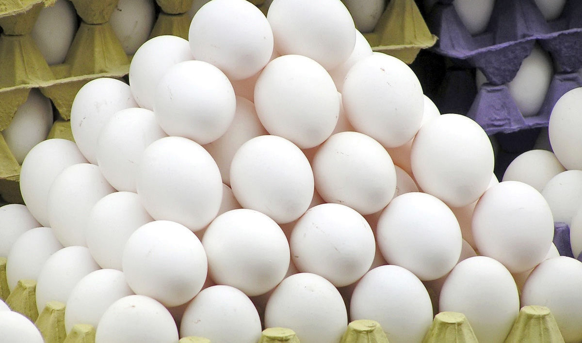 هیچ کمبودی در بازار تخم مرغ نداریم/ مازاد تولید برای صادرات
