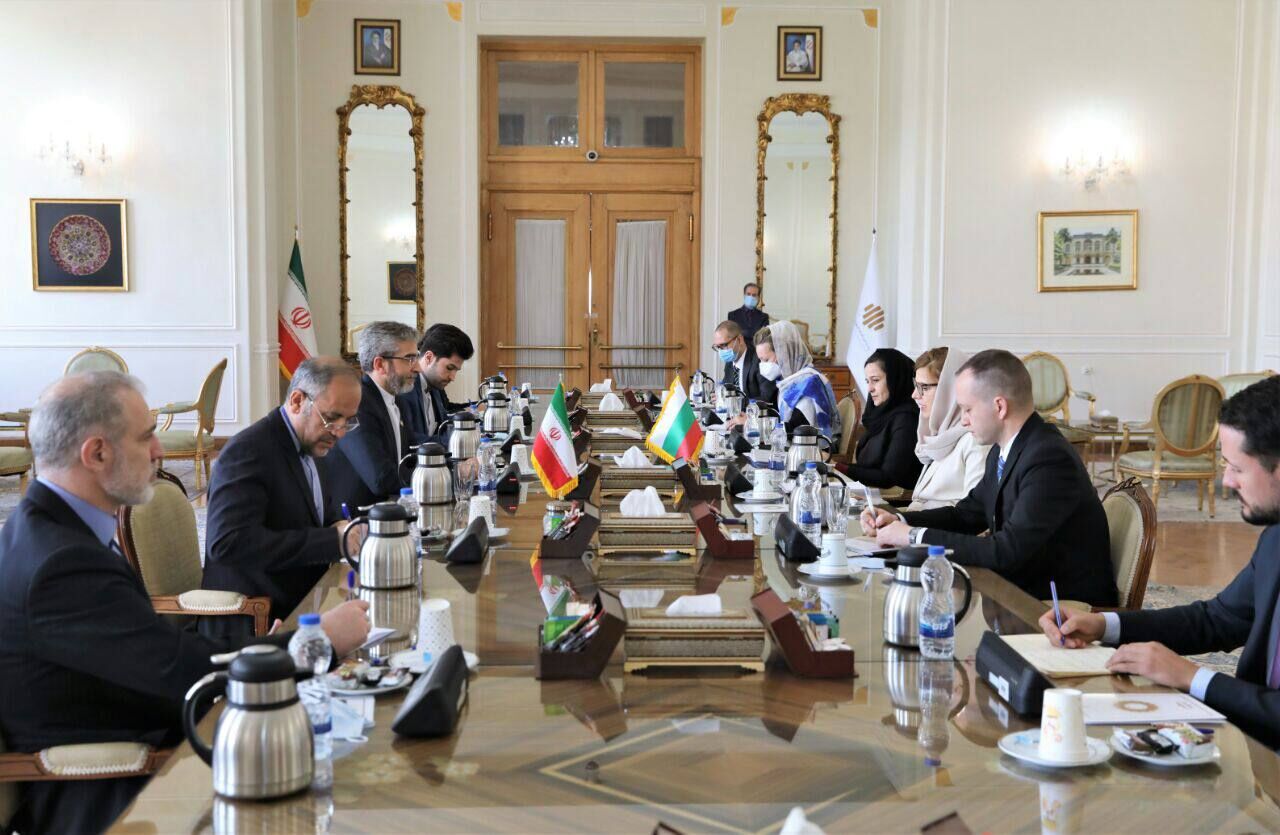 آمادگی ایران برای ارتقاء سطح همکاری‌های تخصصی با بلغارستان
