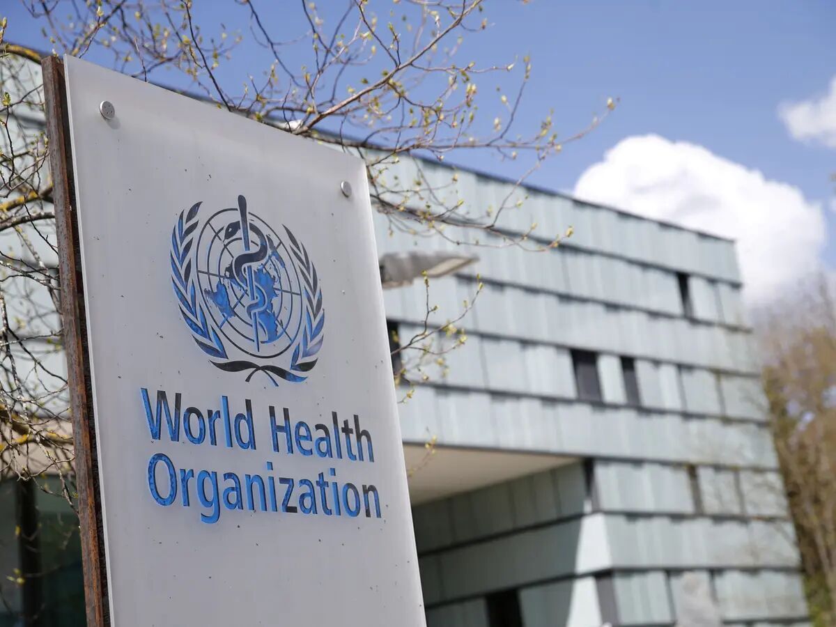سازمان جهانی بهداشت: آبله میمون همه‌گیری بعدی نخواهد بود