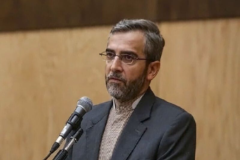دولت بر «تسهیل تعامل با ایرانیان خارج کشور» اهتمام ویژه دارد