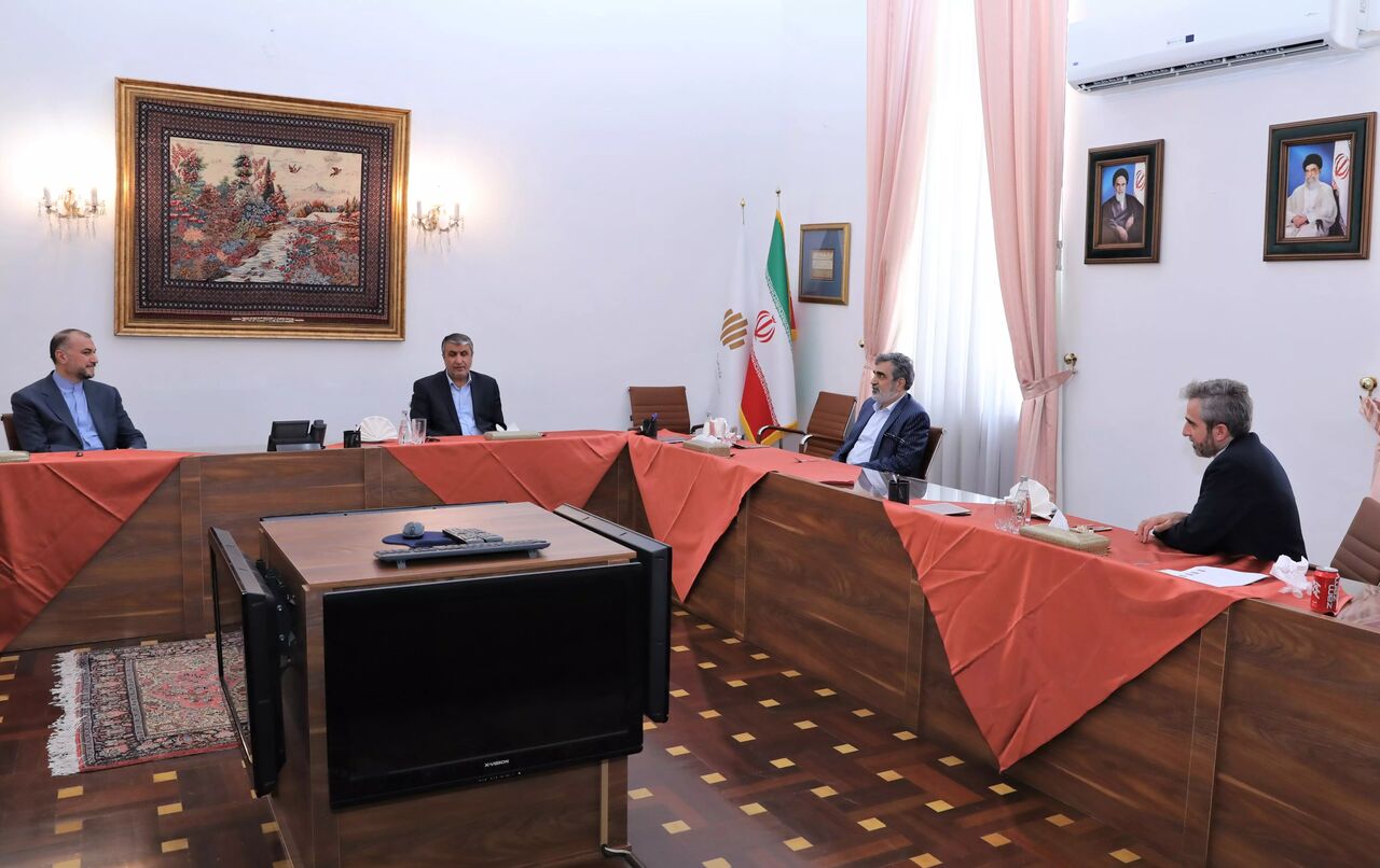 نشست مشترک وزیر امور خارجه و رییس سازمان انرژی اتمی