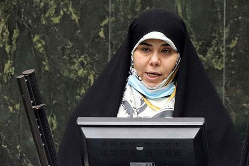 نماینده تهران از پاسخ وزیر بهداشت درباره بیمه درمانی ناباروری قانع شد