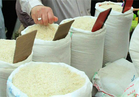 تولید برنج 20 درصد بالا رفت؛ قیمت 20 هزار تومان پایین آمد